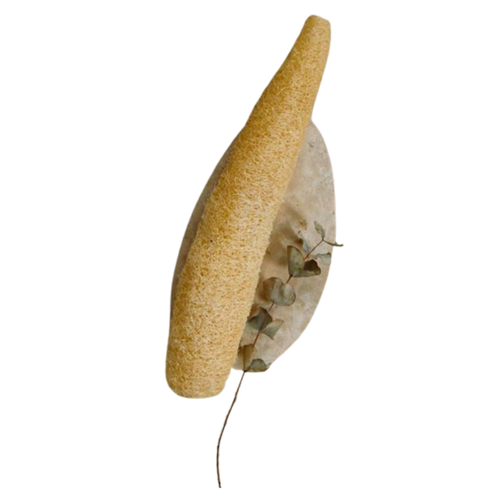 Esponja entera de luffa